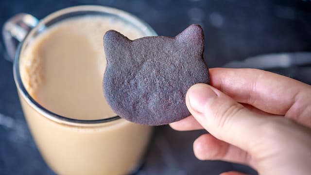 Chocolate Cat Cookies